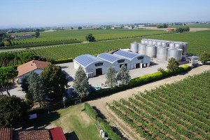 Imola winery
